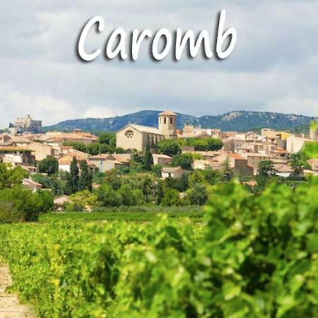 Belle Maison Provencale Au Pied Du Mont Ventoux Caromb Exteriör bild
